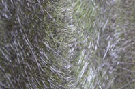 Round Bush fibreglass roof work